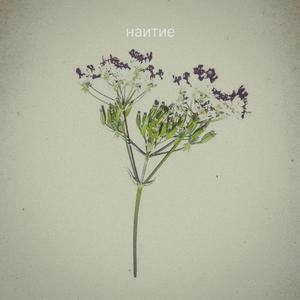 Все телефоны