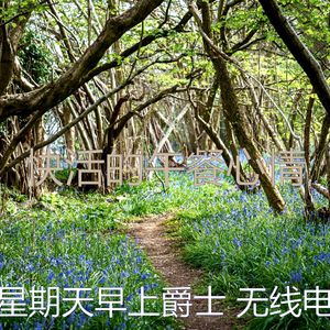 柔和的午餐时刻