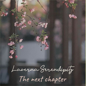 Stand Forever In The Rain