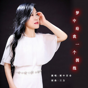 梦中给我一个拥抱 (DJ版)