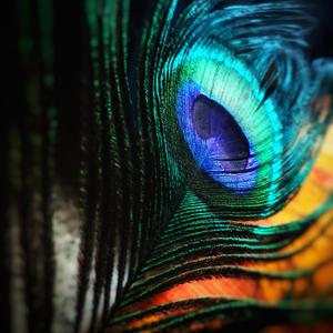 夜色小酒馆（纯音乐）