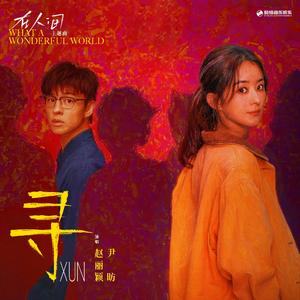 寻（影视剧《在人间》主题曲）