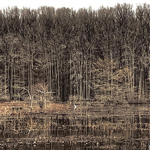 Daddy Doesn't Play Around Anymore (demo)