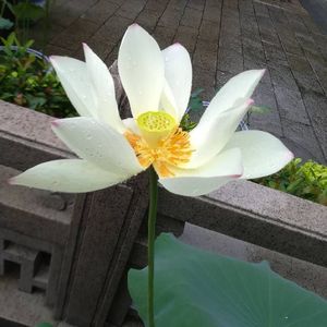 星空下的错过与寻找