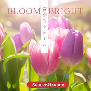 はじまりの合図