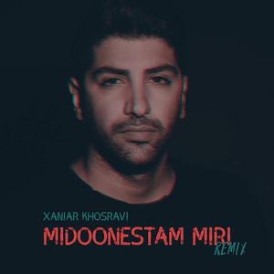 Midoonestam Miri (Remix)