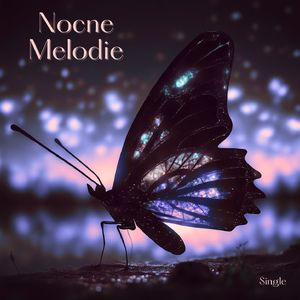 Nocne Melodie