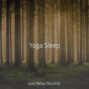 Dreaming Amongst the Branches