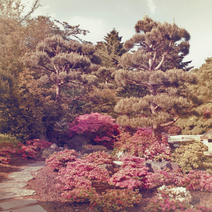 日本の空気 - Air of Japan