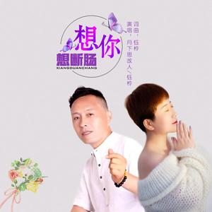 想你想断肠（对唱版）