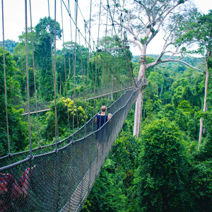 LEMME TEACH YOU SOMETHING SMALL-2 (Extended Version)