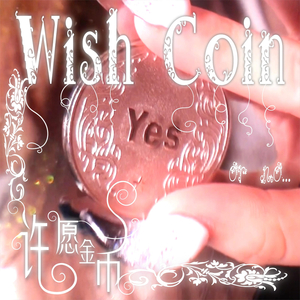 WISH COIN许愿金币