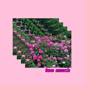 too much (feat. king theta)