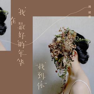 最好的年华