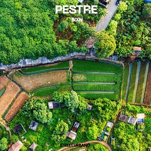 PESTRE