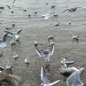 找到你是我最伟大的成功