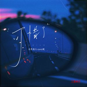 可惜了（DJ版）