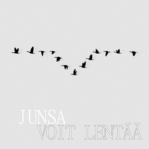 Voit Lentää