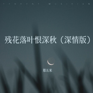 残花落叶恨深秋 (深情版)