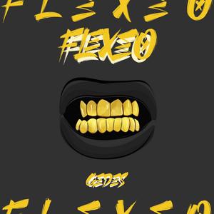 Flexeo