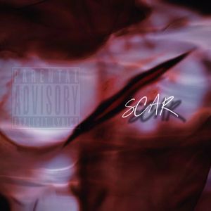 伤疤SCAR【prod by Gevu Minaj】