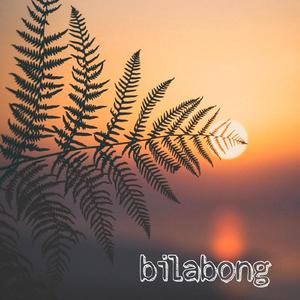Bilabong