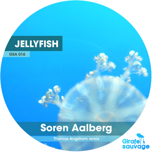 Jelly Fish (Original Mix)
