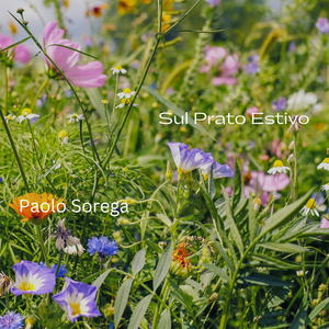 Sul Prato Estivo