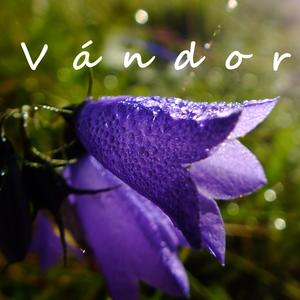 Vándor (feat. Brigitta Kristaly)