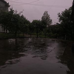 奇洛李维斯回信