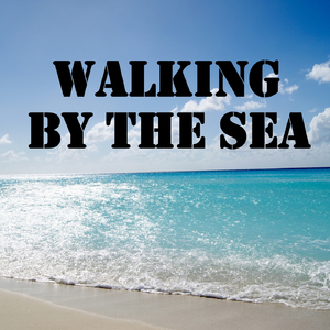 Africa We Want Fe Go