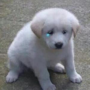 Don't leave me (Prod by BECU BEATZ)