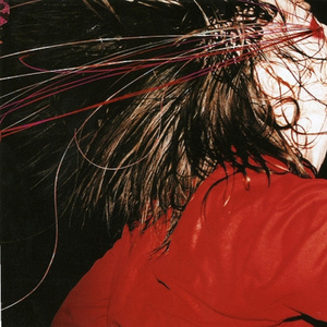 On The Lash (Album Version)