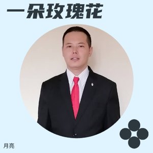 美丽的一朵玫瑰花