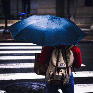 Umbrella