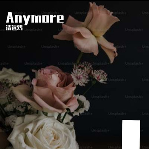 Anymore(Prod EVOMUSIC)