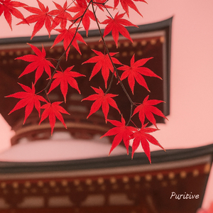 Autumn Hush