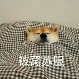 温柔（翻自 陈信宏）