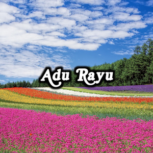 Adu Rayuuu