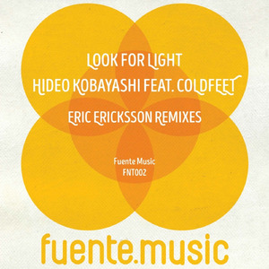 Look For Light (Eric Ericksson Remix)