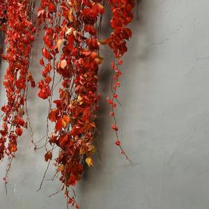 Fake Bag (prod by King.Y)