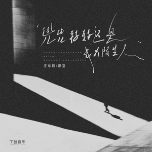 兜兜转转还是成为陌生人（DJ降速版）