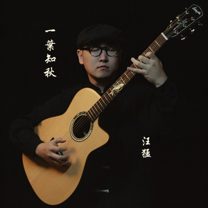 一叶知秋（吉他曲）
