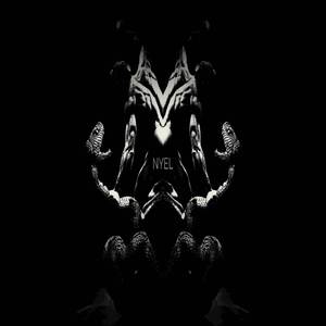 What do you see around you