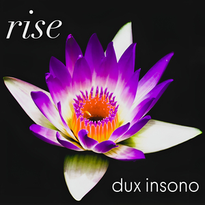 Rise