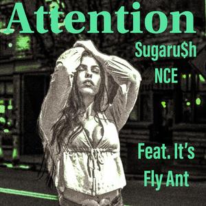 Attention (feat. Itz Fly Ant)