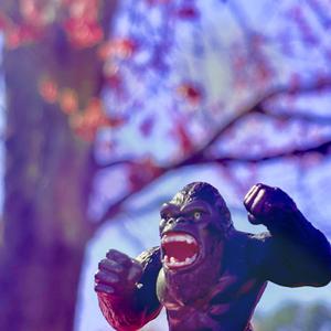 Perspective (feat. Keegan Sinclair)