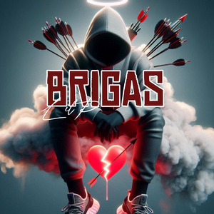 BRIGAS