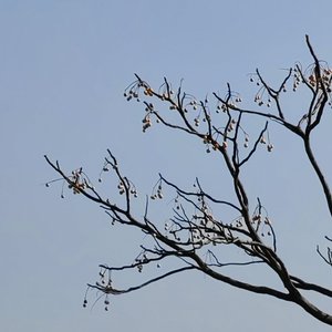 透明墙