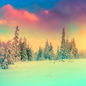 the night i miss you